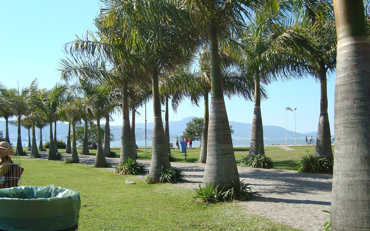 Coqueiros: o alto padrão da baía sul de Florianópolis
