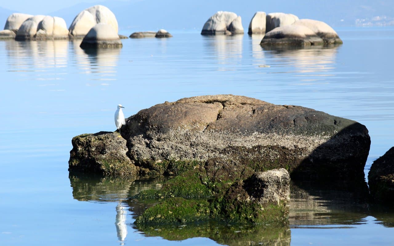 Itaguaçu e Bom Abrigo: charme à beira da baía sul