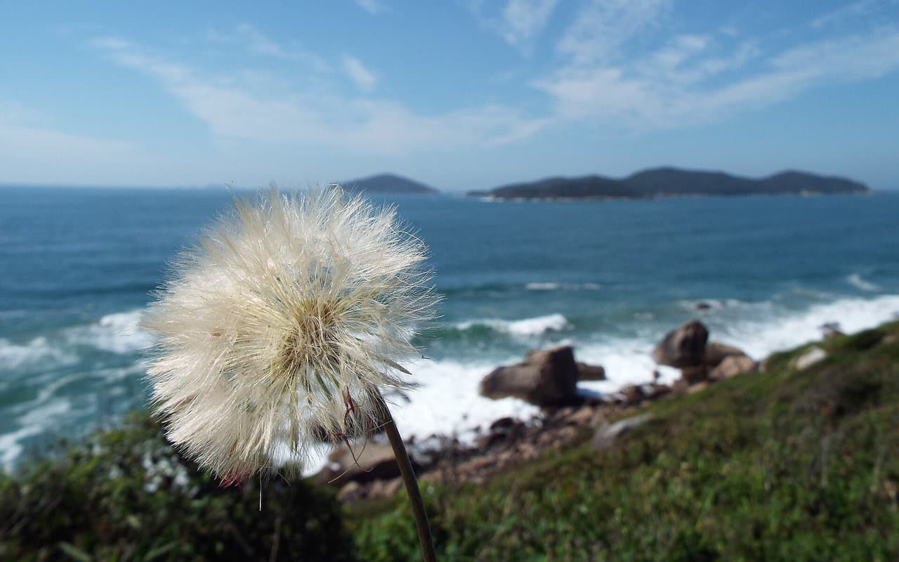 Qualidade de vida o ano todo: o clima e a rotina de Florianópolis